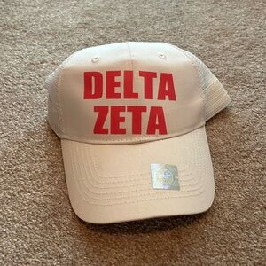 Delta Zeta hat